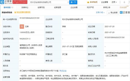 螞蟻集團(tuán)成立云裕鴻啟科技，13億加碼信息系統(tǒng)集成服務(wù)